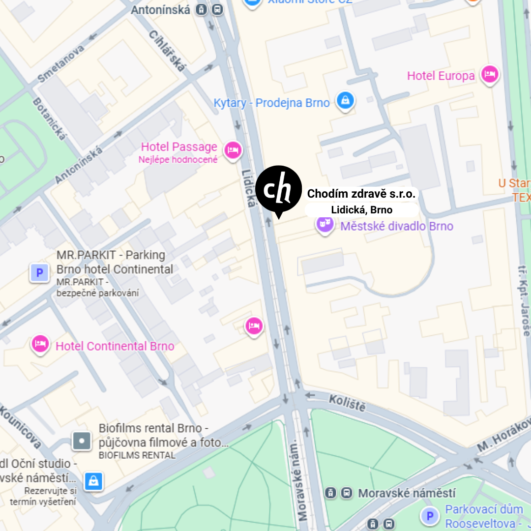 Mapa Brno střed, Lidická 20